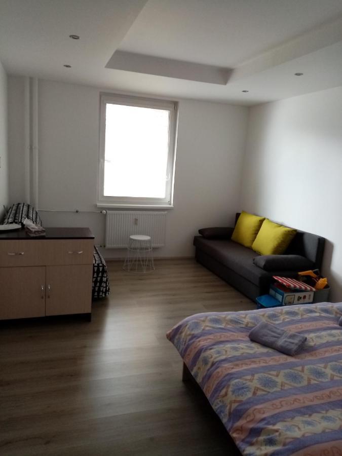 Apartman Aneta カルロヴィ・ヴァリ エクステリア 写真