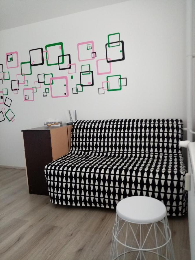 Apartman Aneta カルロヴィ・ヴァリ エクステリア 写真