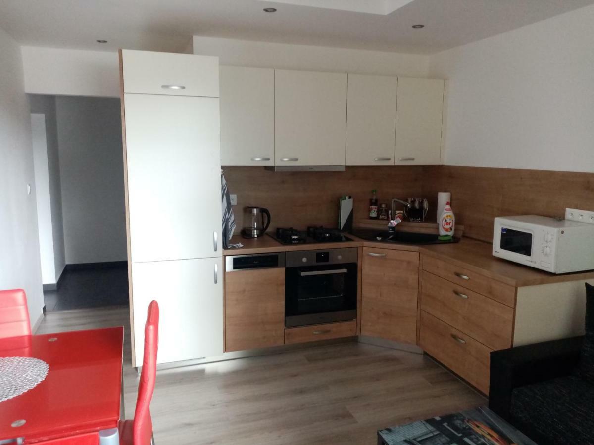 Apartman Aneta カルロヴィ・ヴァリ エクステリア 写真