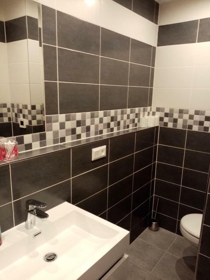 Apartman Aneta カルロヴィ・ヴァリ エクステリア 写真