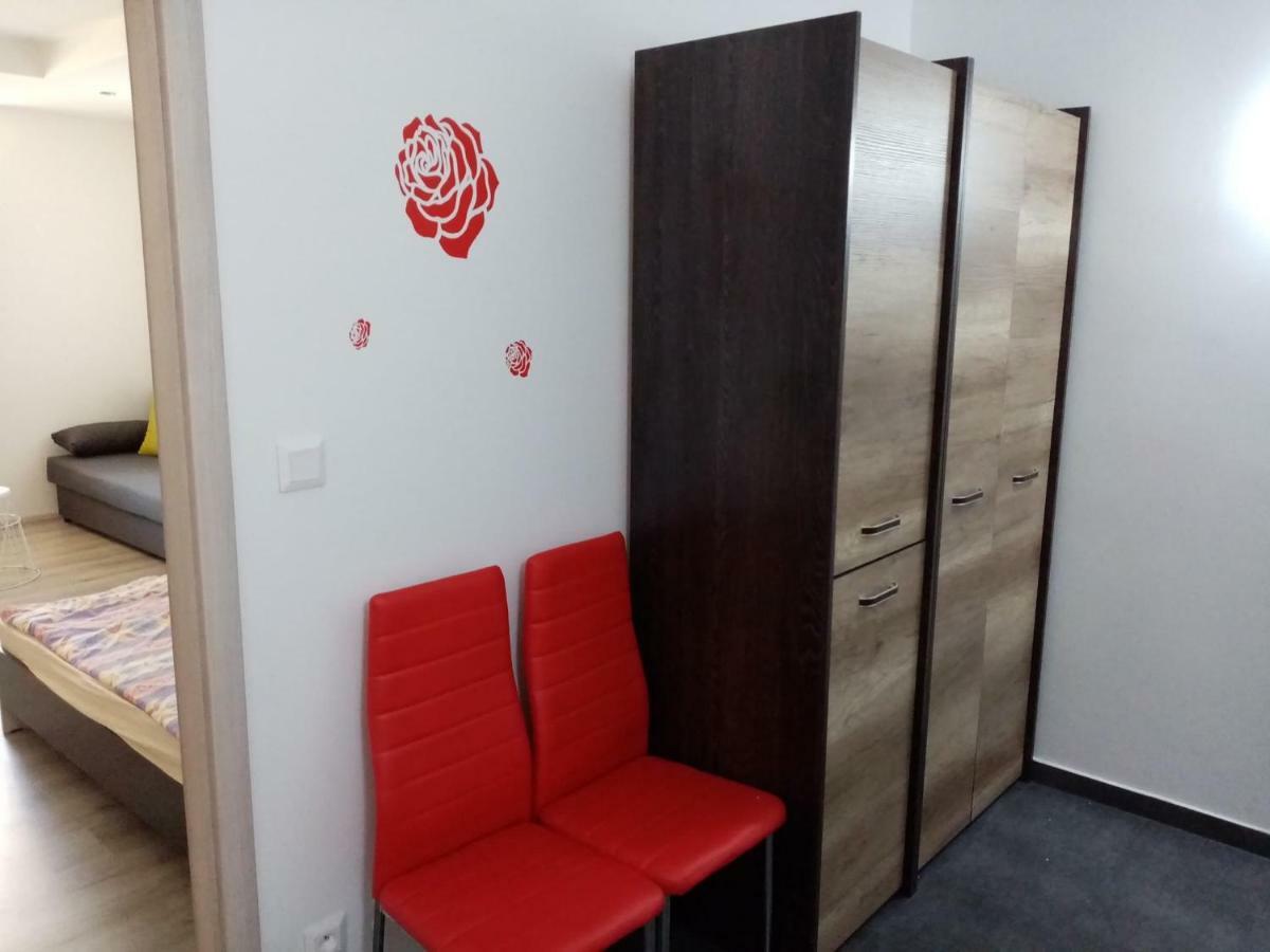 Apartman Aneta カルロヴィ・ヴァリ エクステリア 写真