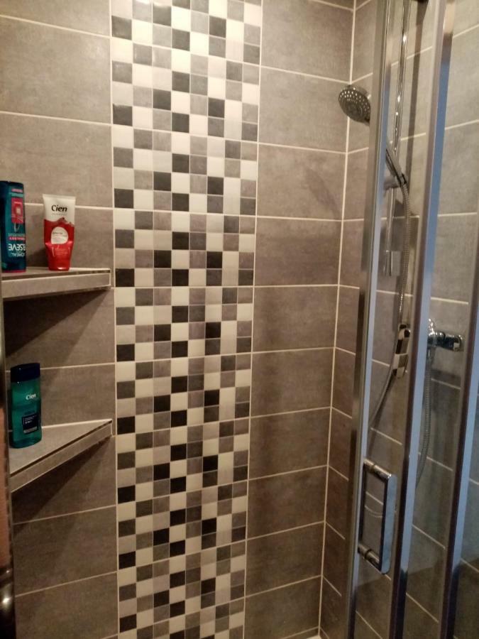 Apartman Aneta カルロヴィ・ヴァリ エクステリア 写真