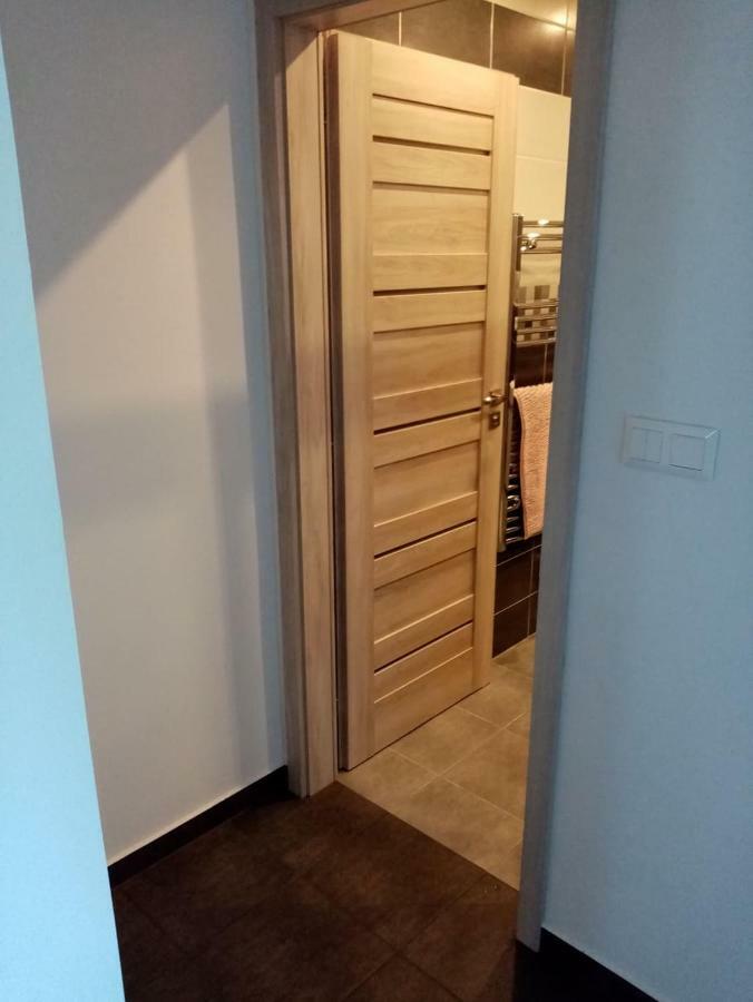 Apartman Aneta カルロヴィ・ヴァリ エクステリア 写真