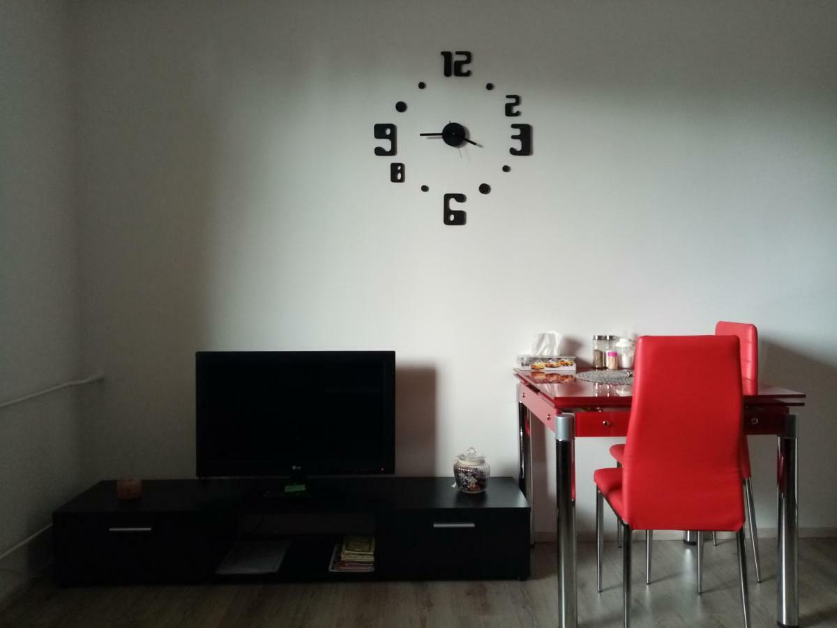 Apartman Aneta カルロヴィ・ヴァリ エクステリア 写真
